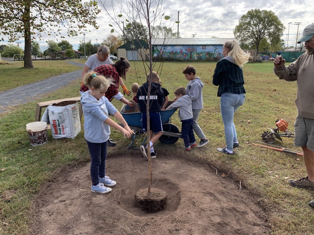 Plant a Tree for Adams County - Gettysburg Green Gathering